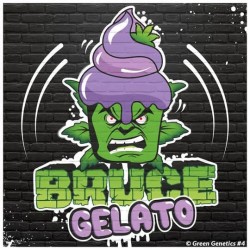 Bruce Gelato Féminisée