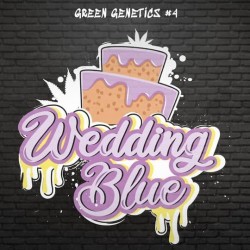 Wedding Glue Féminisée